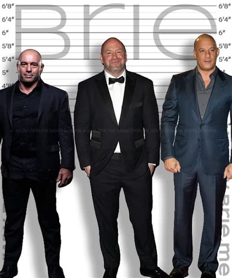 dana white height